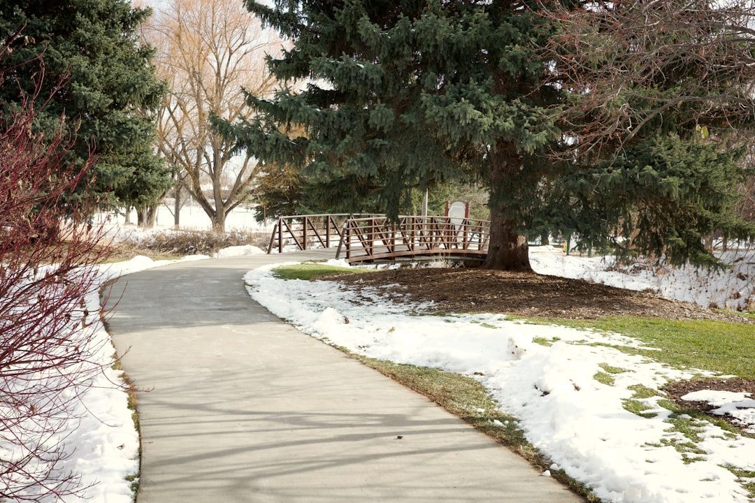 Concrete walkway winding past a footbridge in a snowy Colorado Springs park